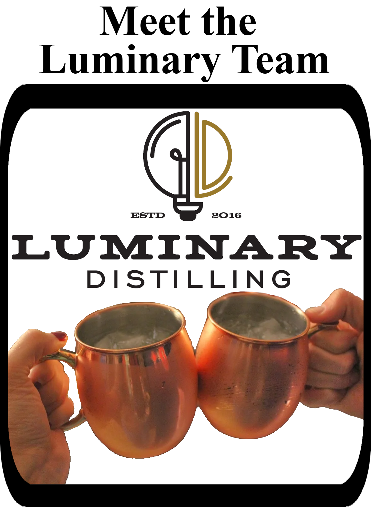 Meet the Luminary Team