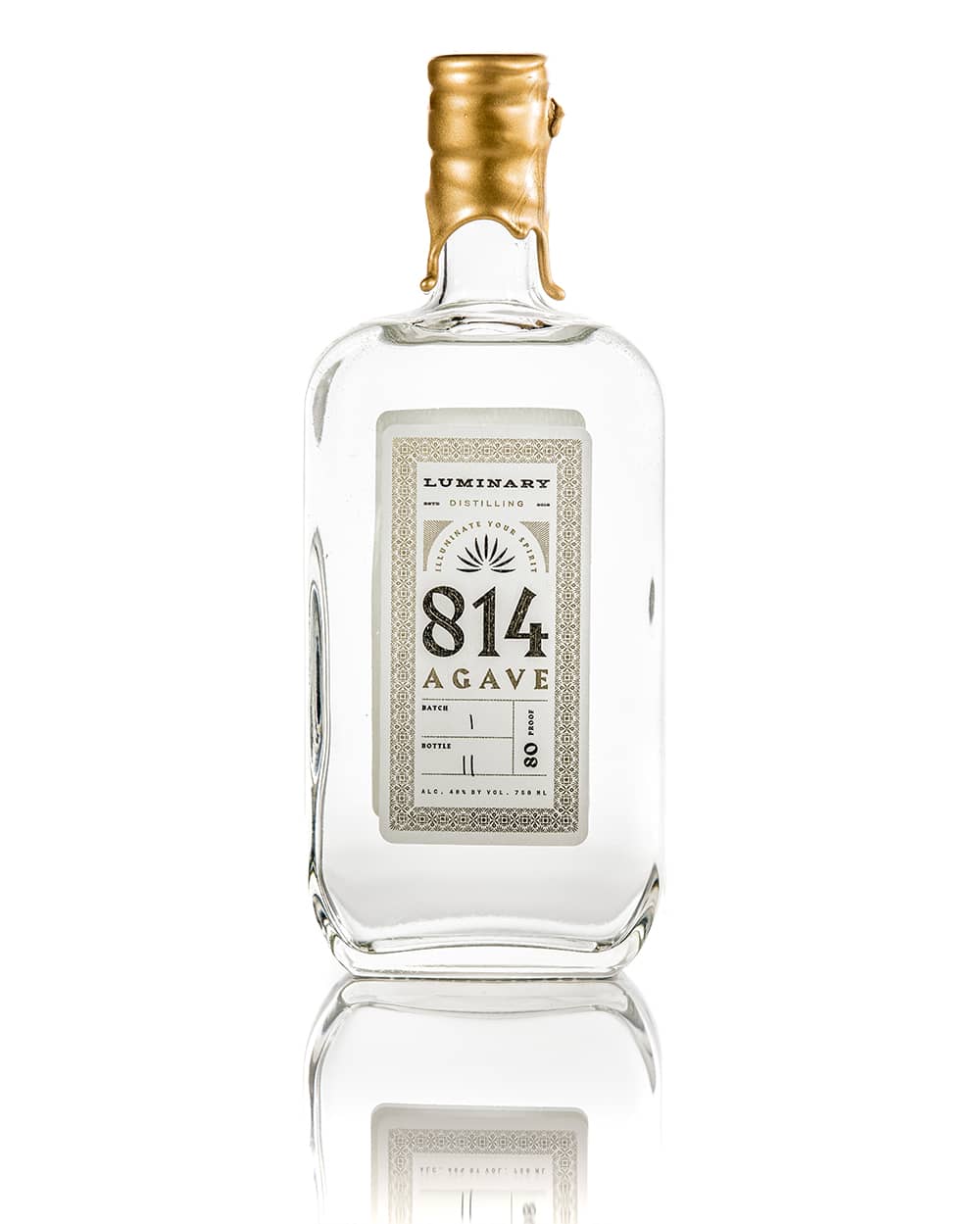 814 Agave on White